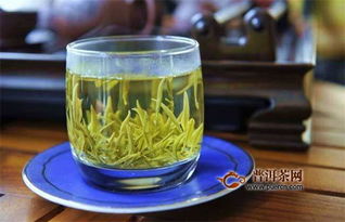 黄磊说安吉白茶是白茶,安吉白茶真的是白茶吗