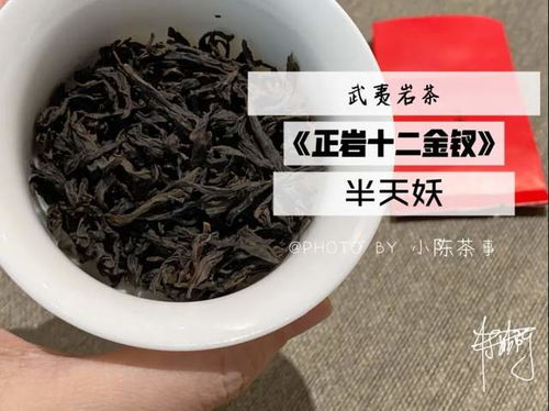 村姑陈与一款茶的5年情缘,岩茶十二金钗承载着最初和最终的梦想